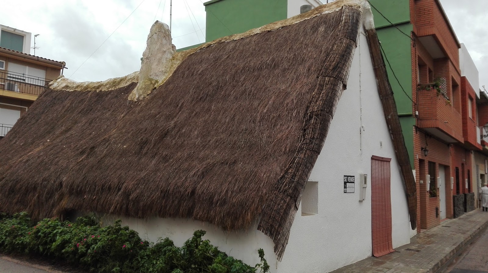 Libro Cañas Y Barro. Vicente Blasco Ibañez Ed. - Comprar Libros De