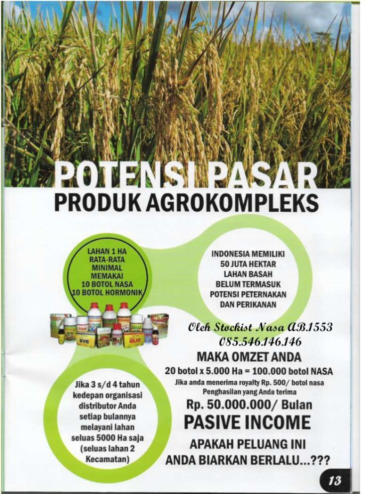 Meniti Jejak Kesuksesan: Bisnis Online NASA di Yogyakarta