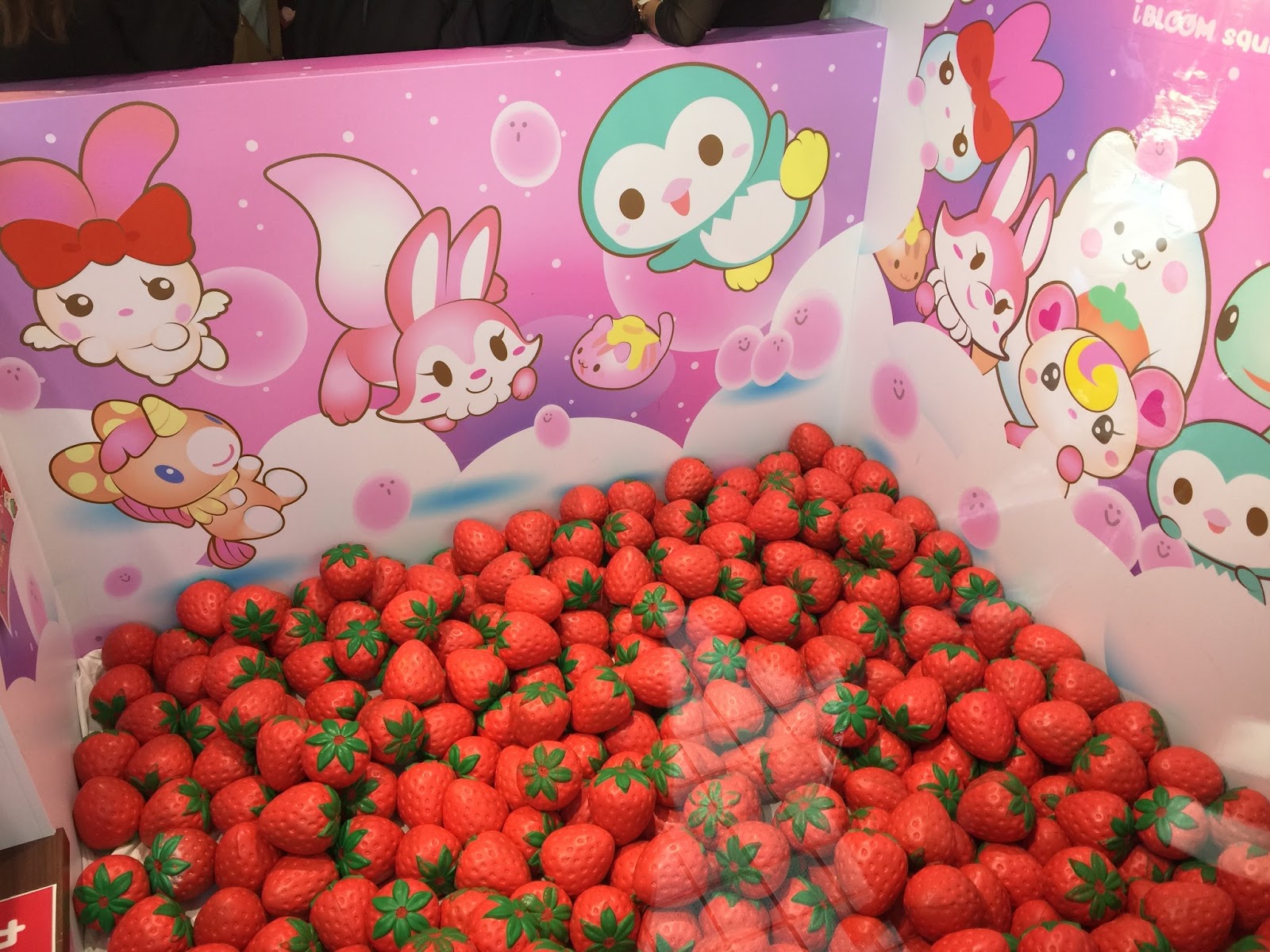 Sue S Cutie Closet Moosh Ibloom Squishy Shop In Tokyo Japan Squishy Haven Tokyo Shopping Tokyo Japan Japan