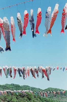 Japan Children's Day