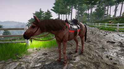 Horse Riding Deluxe 2 Game Screenshot 4