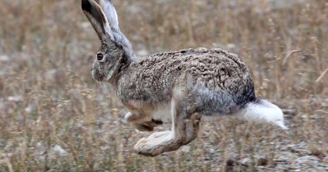 A Collection of Chain Tales: August 28. Story of the Day: Flight of the ...