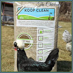chicken chick bedding clean koop sweet pdz coop chopped chickens lucerne fresh farms hay straw am