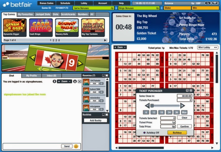 Nordicbet Bingo Ticket Screen