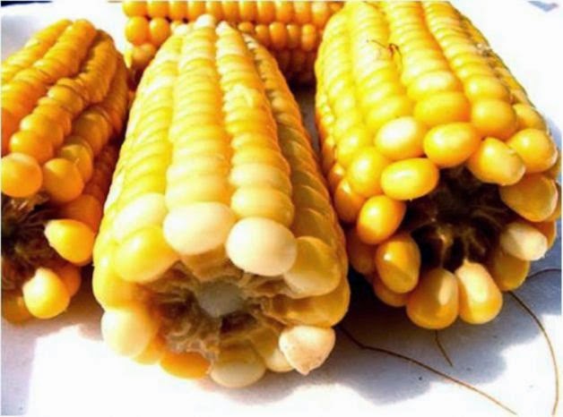 Il Chiodo Arrugginito Come Si Cucinano Le Pannocchie Spiga Di Mais Bollite O Arrostite