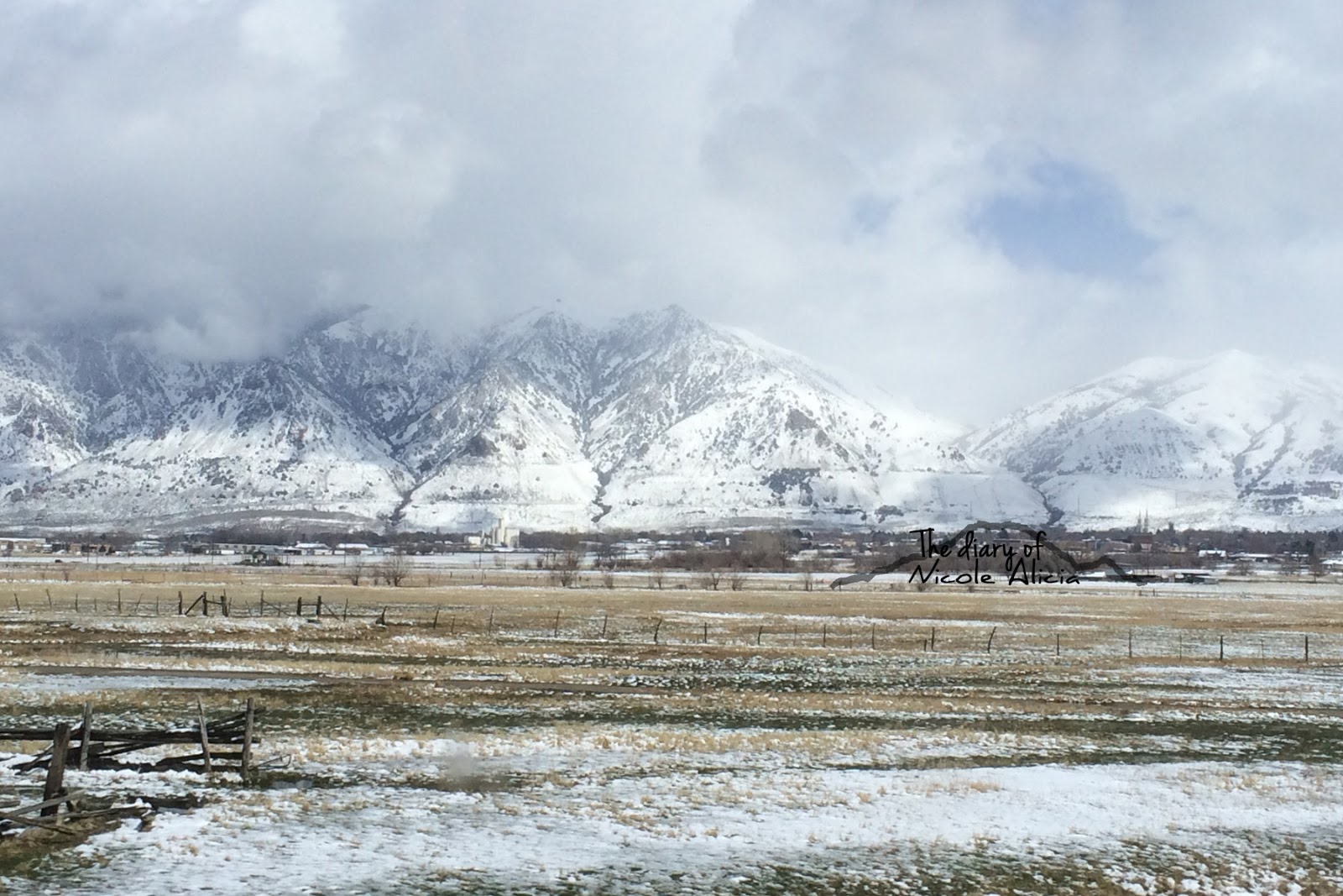 The Diary of Nicole Alicia Salt Lake City Trip & Ikea Haul