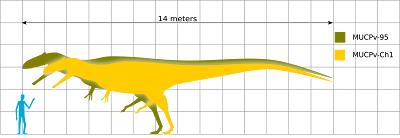 V ch 1. Гигантозавр рост. Гигантозавр Размеры. Гигантозавр по сравнению с человеком. Гигантозавр сравнительные Размеры.
