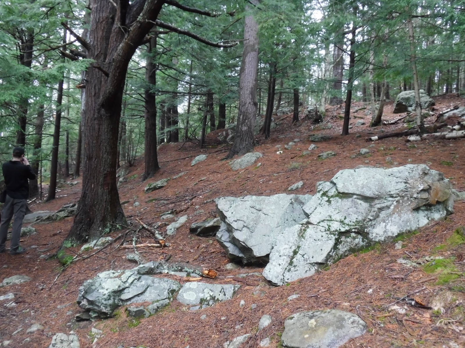 Indian Trail Park in Brewer