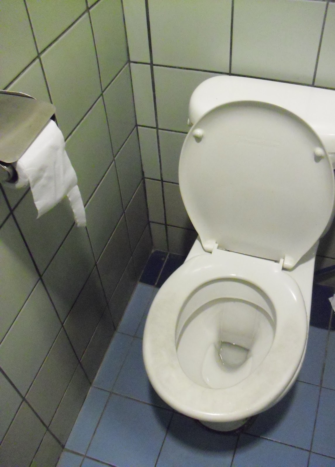 Initiation to Hygenic Lifestyle Example of a Clean Washroom with