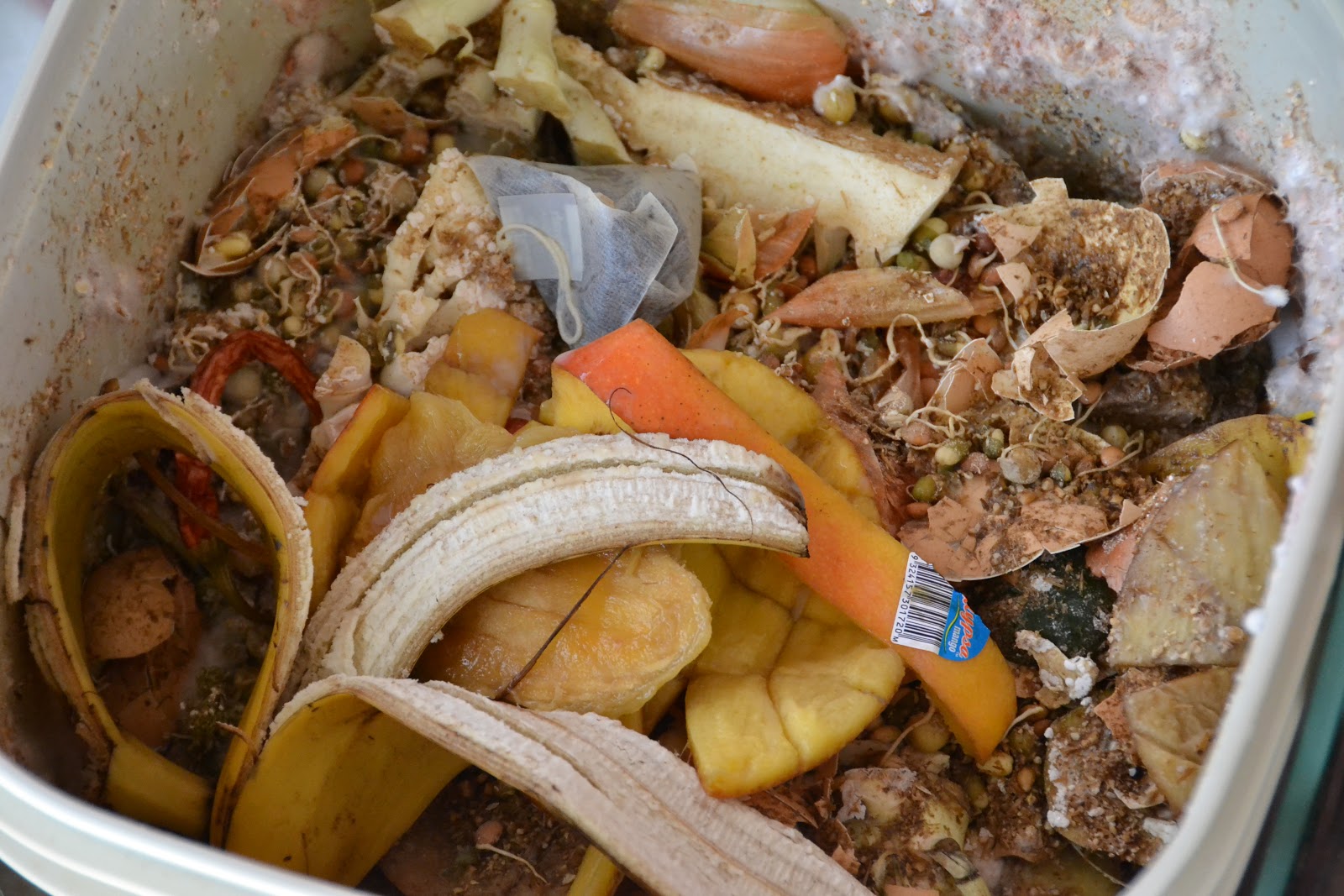 In Welchen Müll Kommen Essensreste Svenja Down Under: Bokashi Recycling