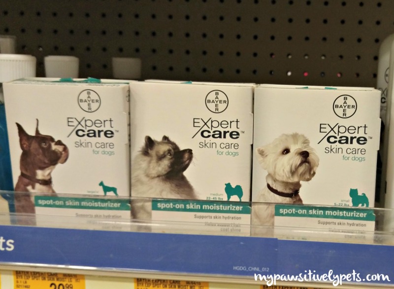 Caring for Your Dog's Dry Winter