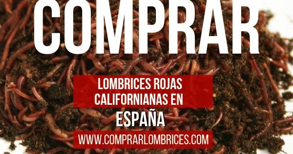 lombrices rojas californianas comprar lombrices rojas californianas comprar