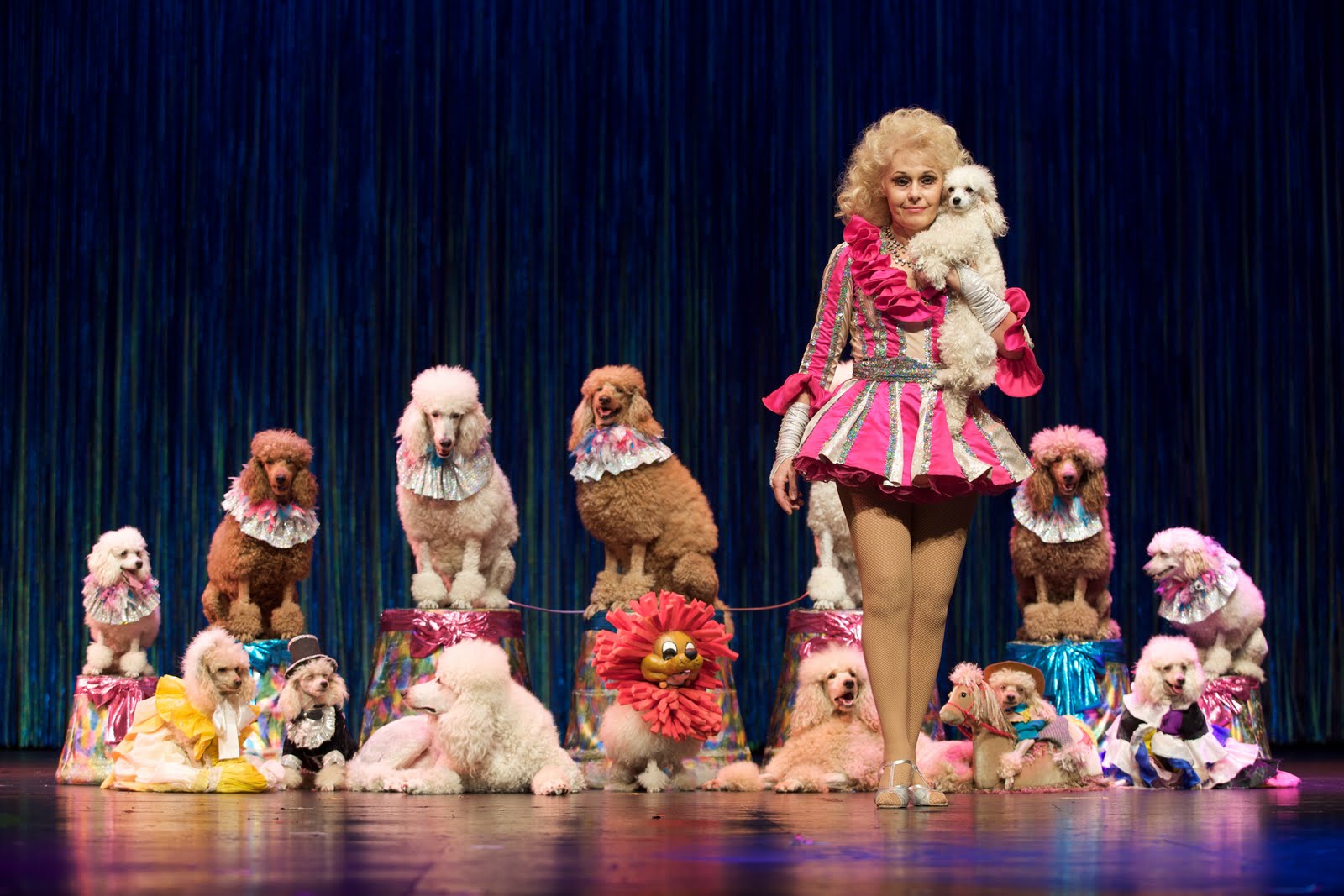 Terrierman's Daily Dose The Cell Phone at the Circus