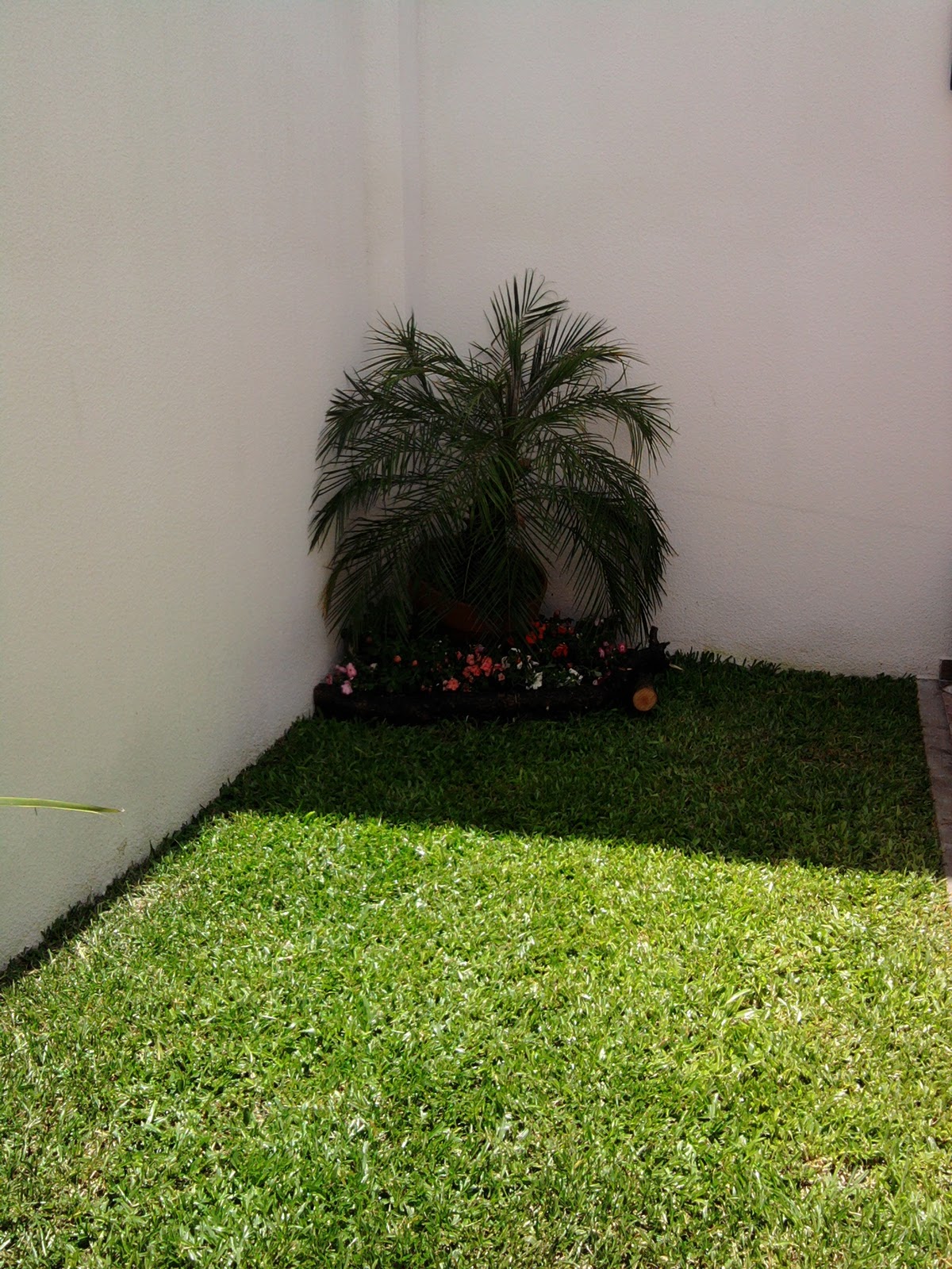 Técnico en Jardinería: Diseño en Jardín.