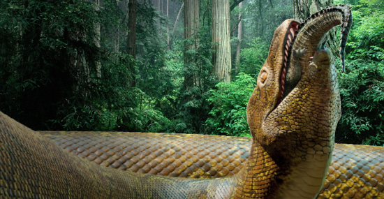 Descoberta Super-cobra gigante maior do que qualquer Anaconda - Capa