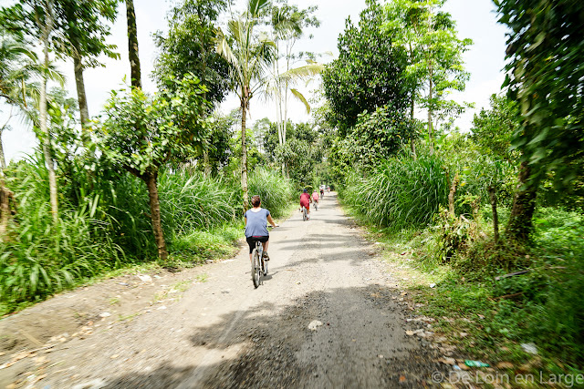 Kintamani - Bali