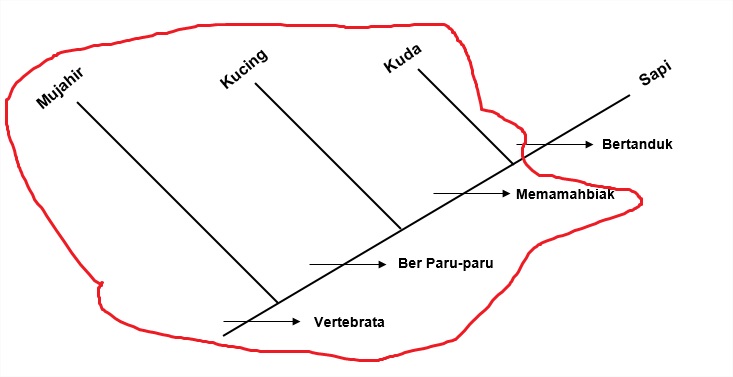 Biologi Dan Ilmu Lainya Klasifikasi 5 Kingdom Biologi Dan Ilmu Lainya Klasifikasi 5 Kingdom