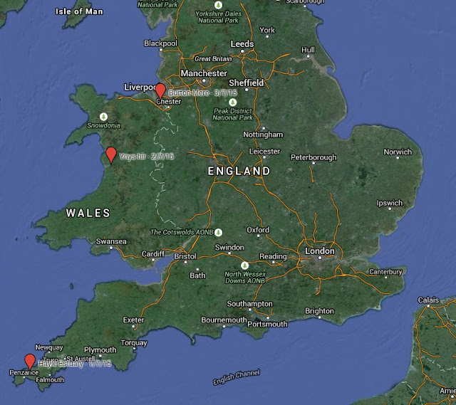 Gull-billed Tern Map - early July