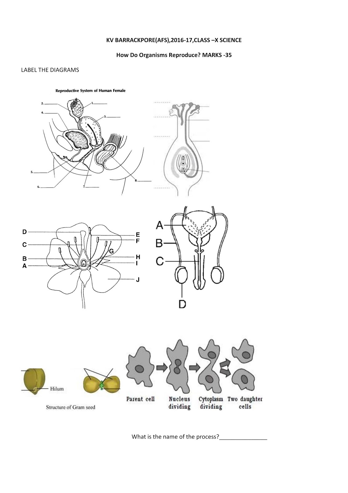 Types Of Reproduction Worksheet