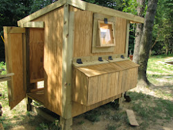 chicken coop building build homestead coops plans door truths easy built simple clean lonesome need money learn nest