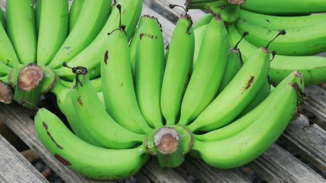 MANFAAT UNTUK KESEHATAN TUBUH DARI MENGKONSUMSI PISANG MENTAH