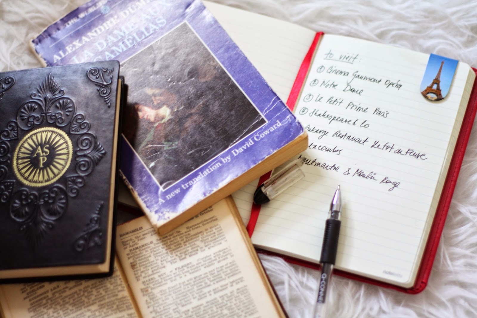 A (dream) day in Paris - literature style A (dream) day in Paris - literature style