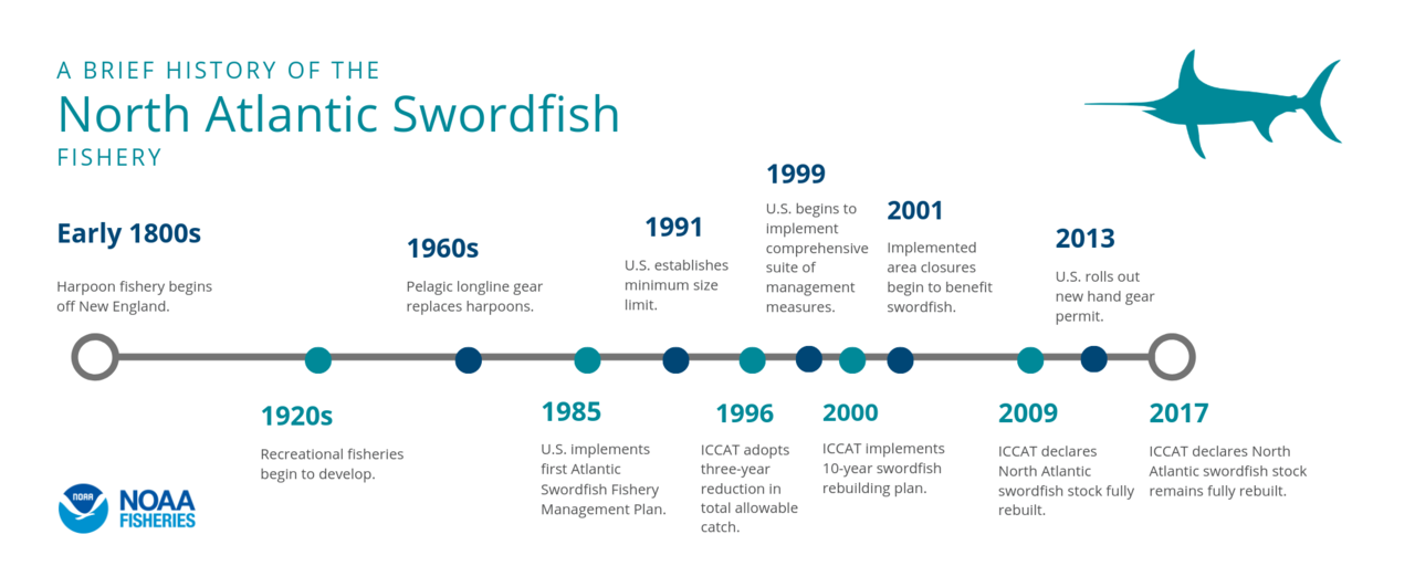 Progressive Charlestown Enjoy