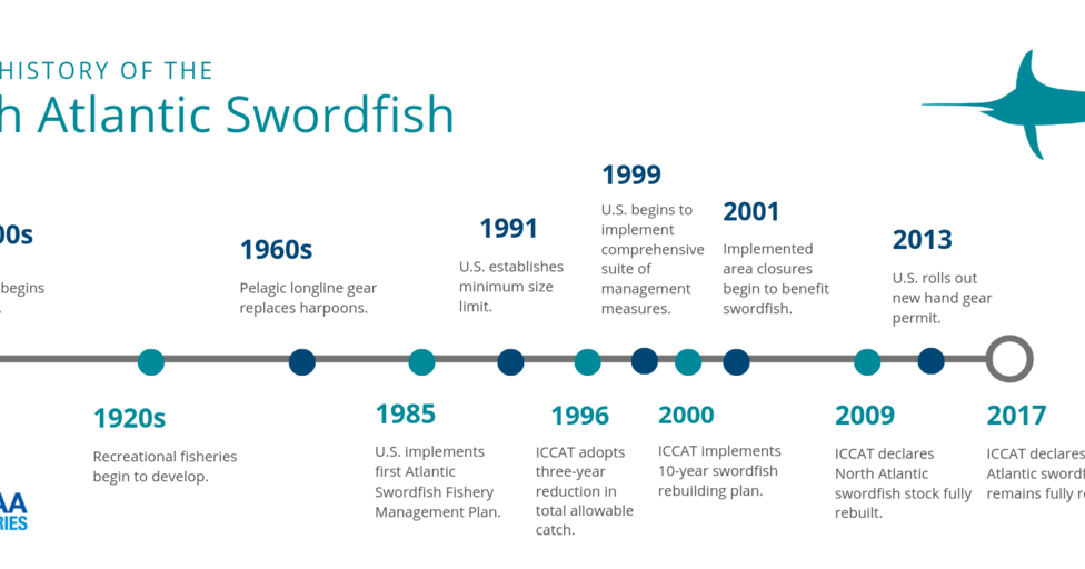 Progressive Charlestown Enjoy