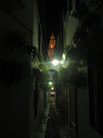 La Calleja de Las Flores de noche