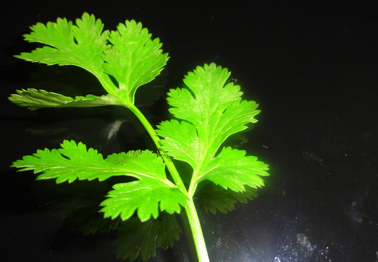 RASI'S VEG BITES: CORIANDER MUNGDAL GRAVY