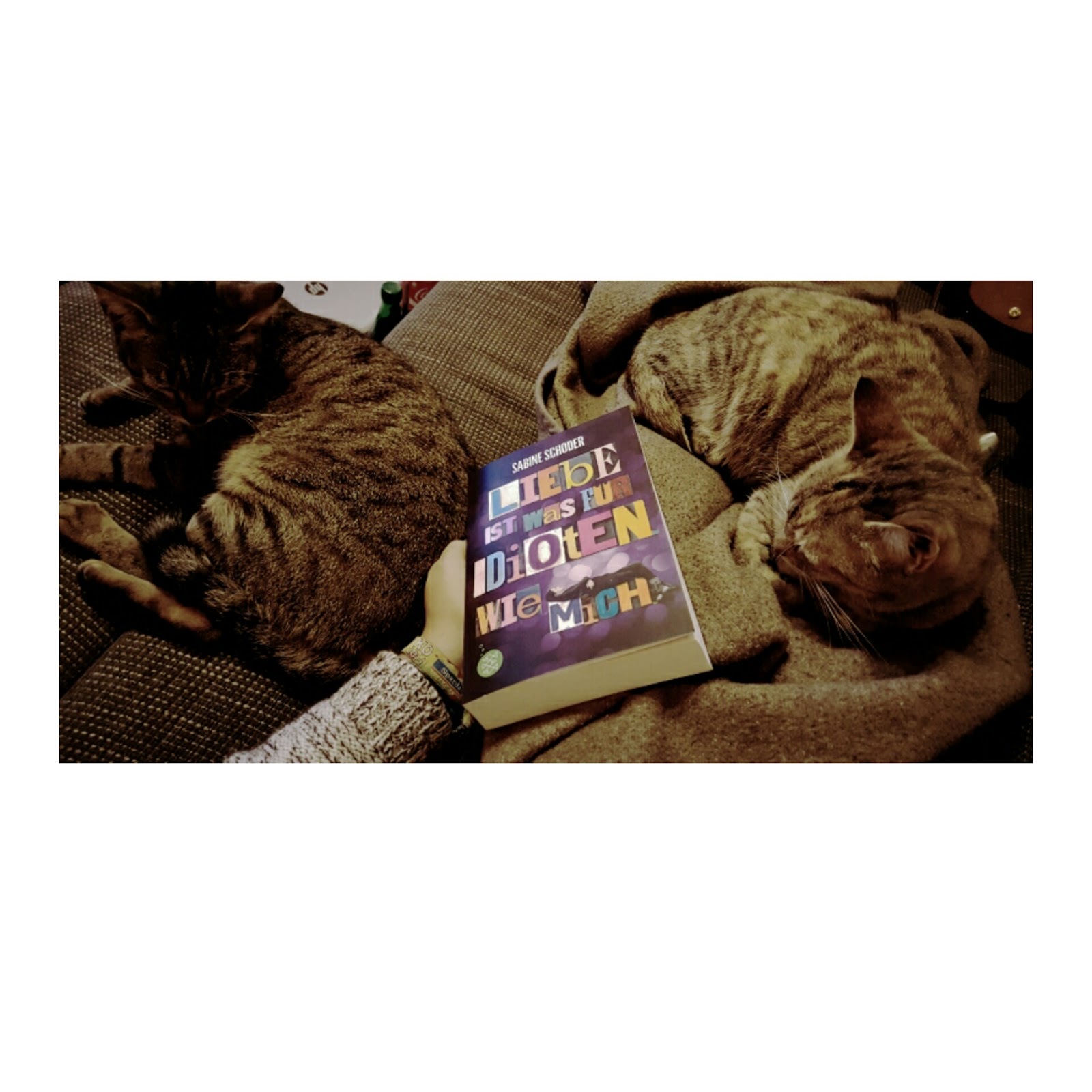 Liebe ist was für Idioten wie mich! bookaholic. Liebe ist was für Idioten wie mich! bookaholic.
