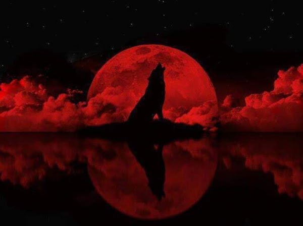 Vinculan la “Superluna de sangre de lobo” con la profecía bíblica de los ’10 días’ Vinculan la “Superluna de sangre de lobo” con la profecía bíblica de los ’10 días’