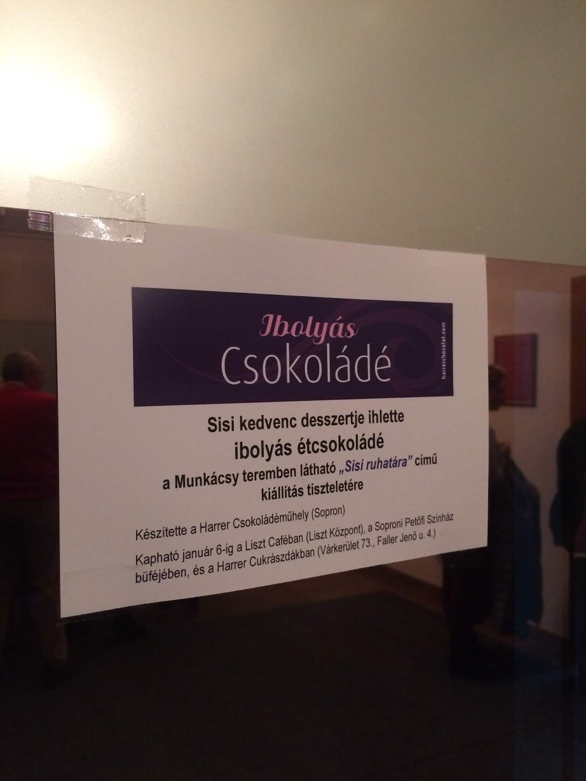 エルジェーベト皇妃の講演へ