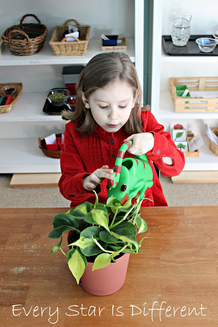 Watering a plant activity for kids.