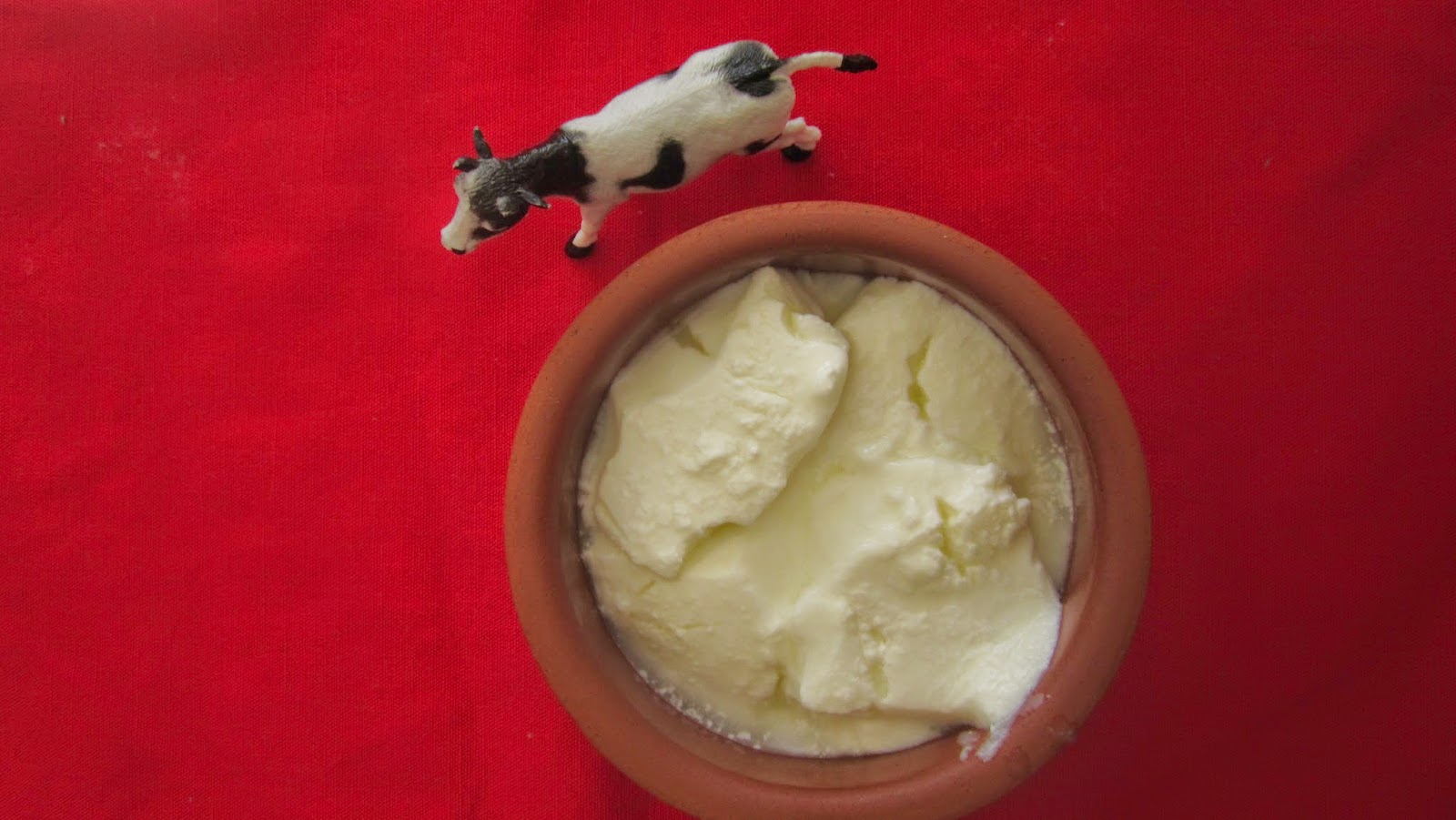 GÜLŞEN MANİSALI: katı ev yoğurdu nasıl yapılır