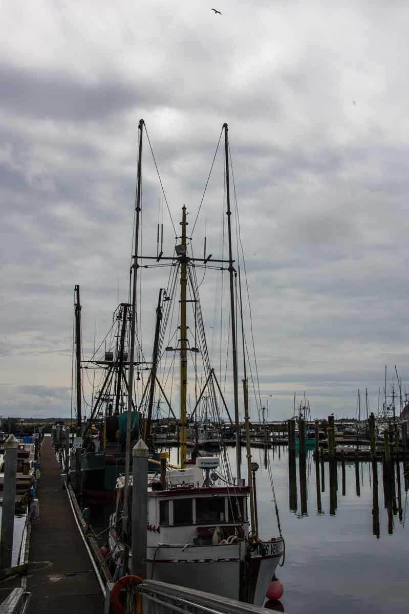 Kissack Adventures Ilwaco Farmers Market Don't Miss It!!