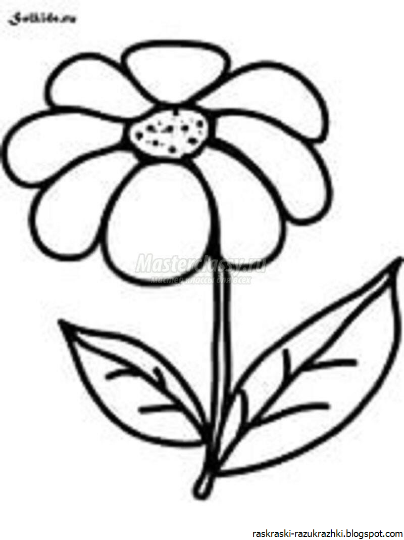 Раскраска Цветок Для Детей 5