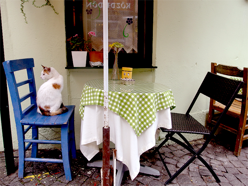 Freyja Und Die Katzen Archiv Panpagan