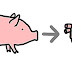 Doação de órgãos de porcos para humanos não é mais ficção!