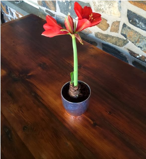 Stories From The Barn Why We Use Tung Oil to Finish Our Farmhouse Tables