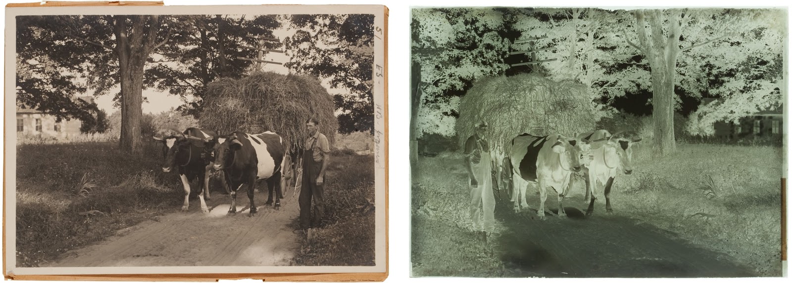 Photo Archives Fall 2015 Assignment 1 Gelatin Dry Plate Negatives