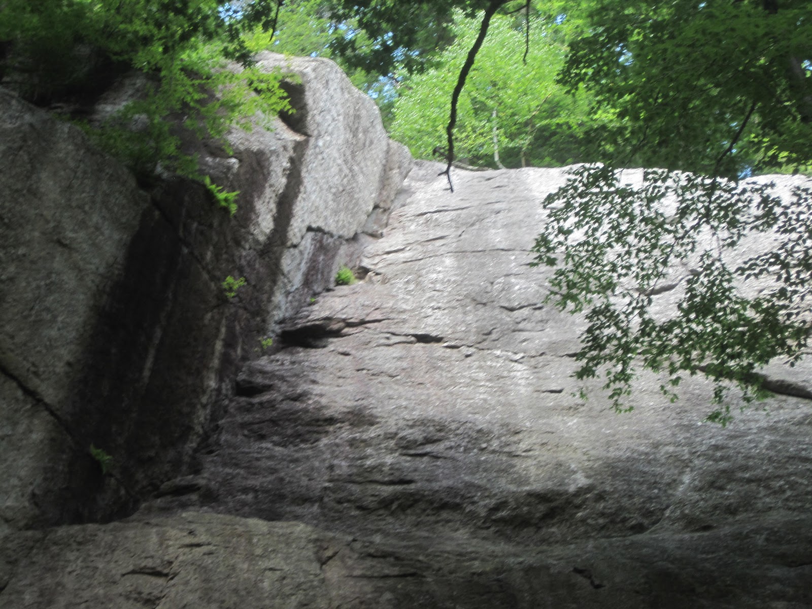 Mt.Tom Billy Goat 2 Chapel Brook Reservation Ashfield Ma. Ashfield