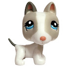 Littlest Pet Shop Multi Pack Bull Terrier (#1665) Pet