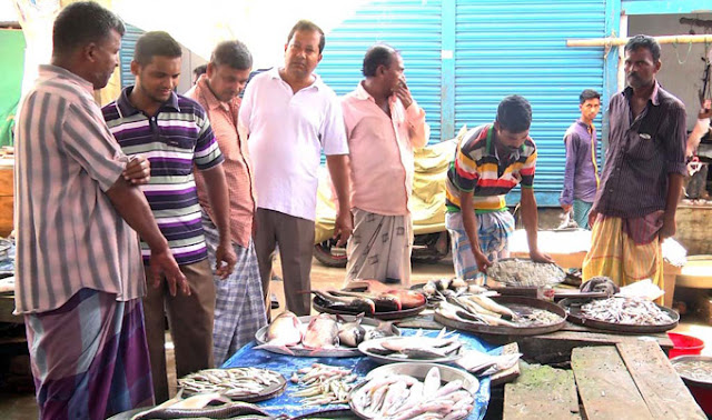 বাজারগুলোতে মিলছে না দেশীয় প্রজাতির মাছ