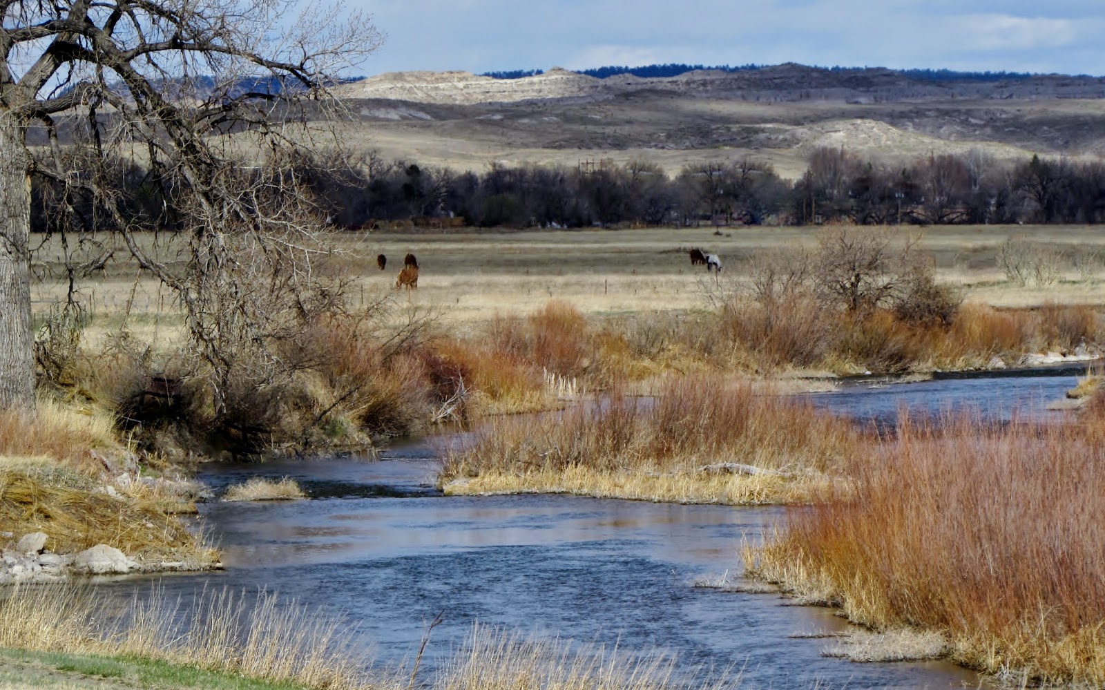 Wyoming Fact & Fiction Neil A. Waring The Two Laramie's
