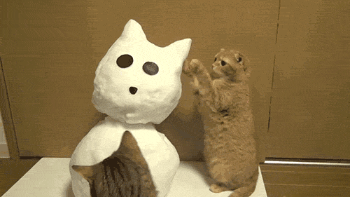 Katzen spielen mit Schneemann - Schneekatze