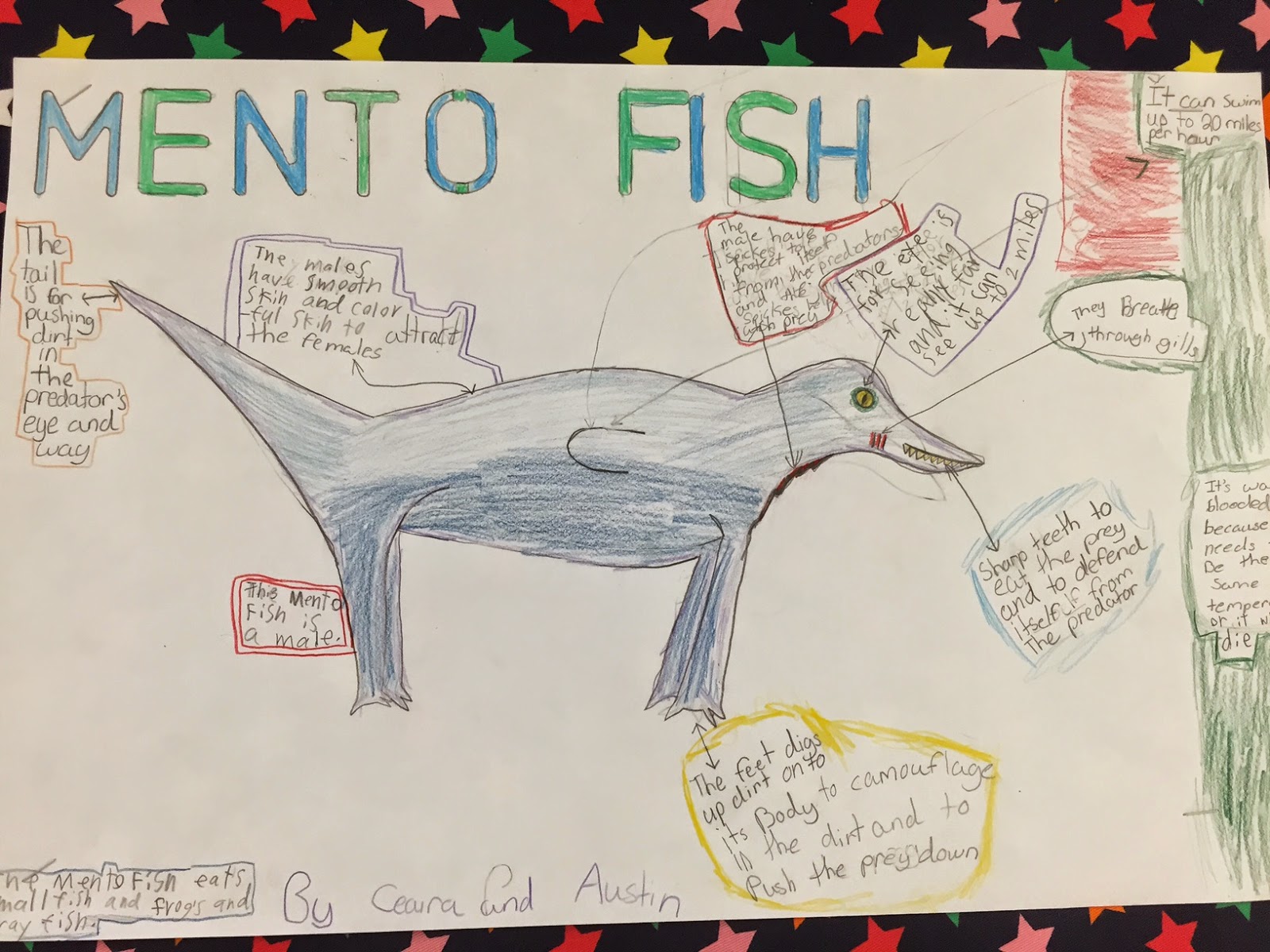 Mrs. West's 4th Grade Class: Check Out These New Animals!