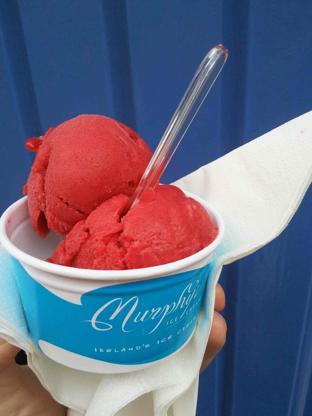 Survival Guide Dublin with Food Allergies The Last of the Summer