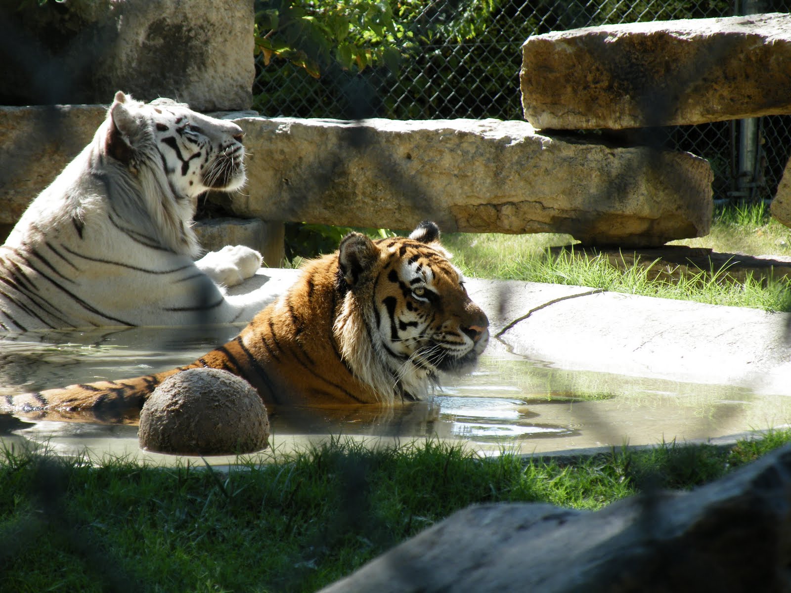 Kansas' 150th 150 things to do in Kansas 104. Great Bend Zoo