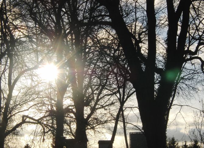 Jahreszeitenbriefe Mein Freund Der Baum 34